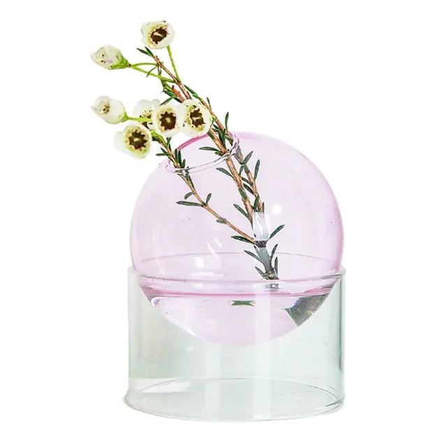 Minimalist Hydroponic Glass Vase – Soil-Free Plant Display for Modern Home Decor