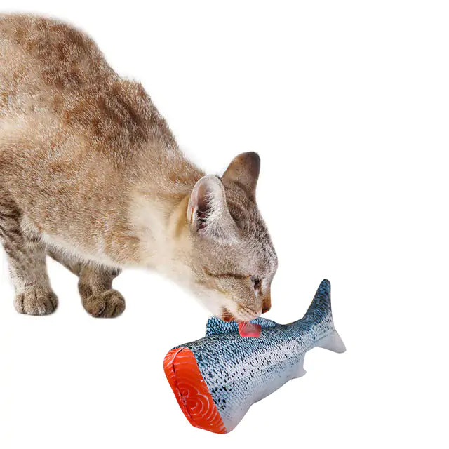Interactive Plush Cat Toy – Creative Fish Shape with Catnip Filling