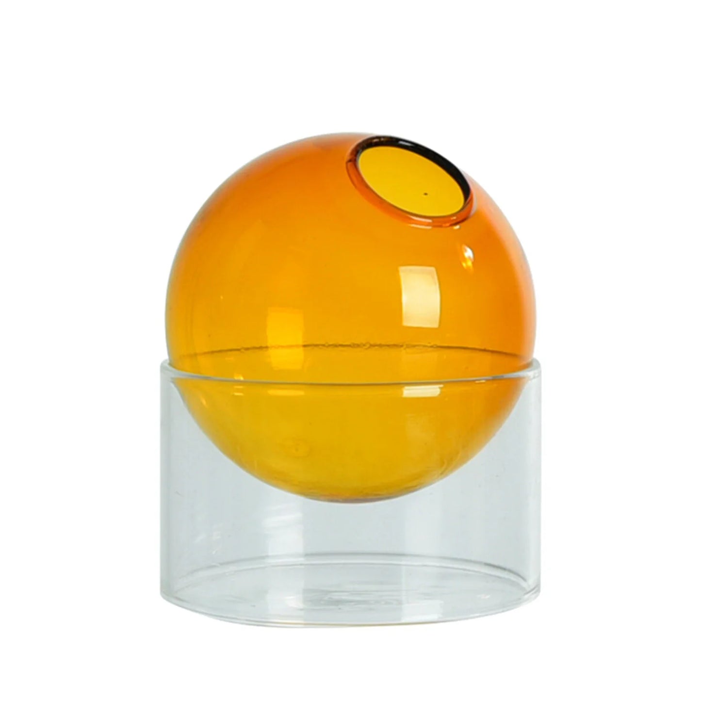 Minimalist Hydroponic Glass Vase – Soil-Free Plant Display for Modern Home Decor