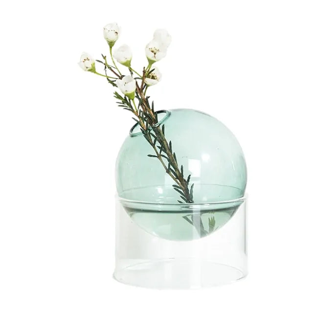 Minimalist Hydroponic Glass Vase – Soil-Free Plant Display for Modern Home Decor